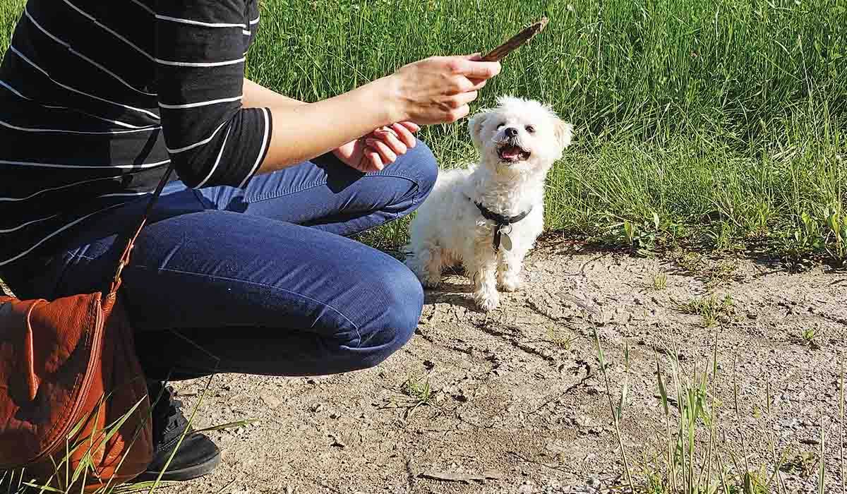 16χρονη γλίτωσε από ομαδικό βιασμό όταν έπεσε στα χέρια Πακιστανών