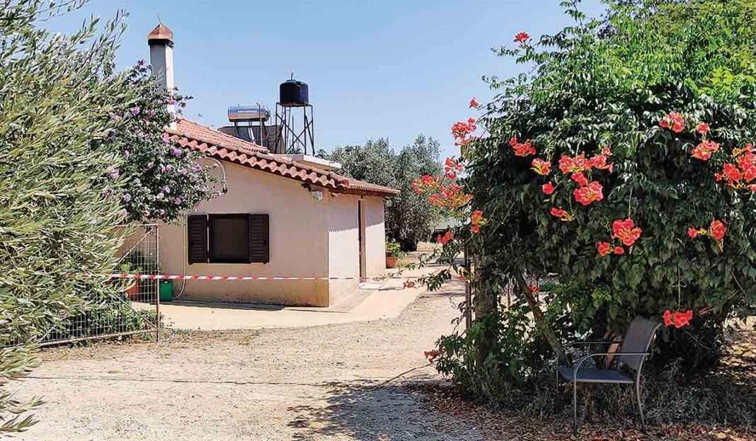 Πακιστανός «έσφαξε» την αφεντικίνα του επειδή τον απέλυσε