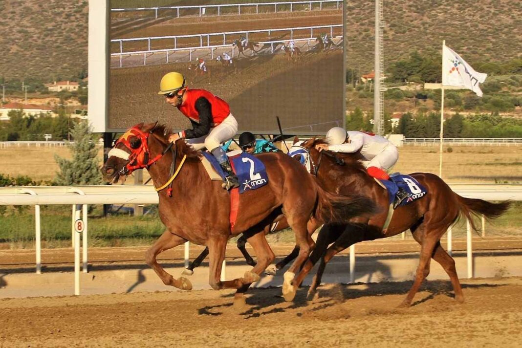 Markopoulo Park: Περισσότερα από 7.000 ευρώ για 7 νικητές στο ΣΚΟΡ 6 (video)