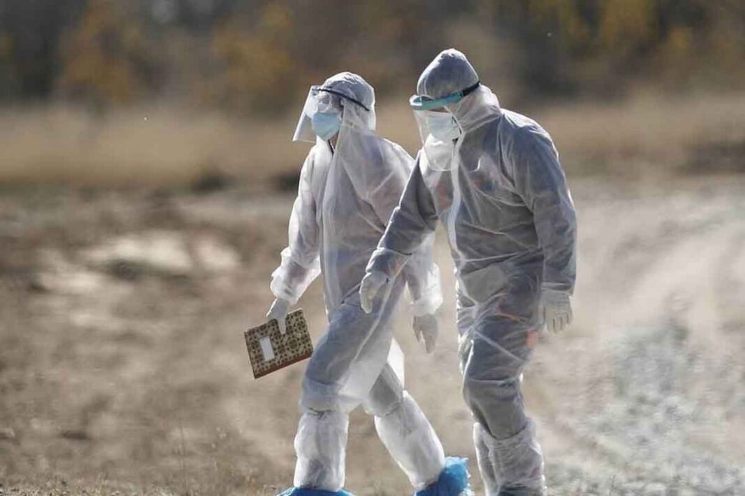 Σοκάρουν οι σκηνές με τη μαζική θανάτωση χιλιάδων μινκ σε φάρμα εκτροφής στην Κοζάνη