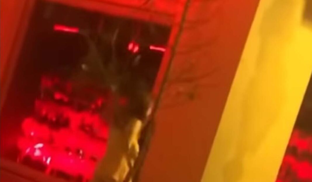 Tσιτσιδώθηκε και βόλταρε στο κέντρο της Θεσσαλονίκης (video)
