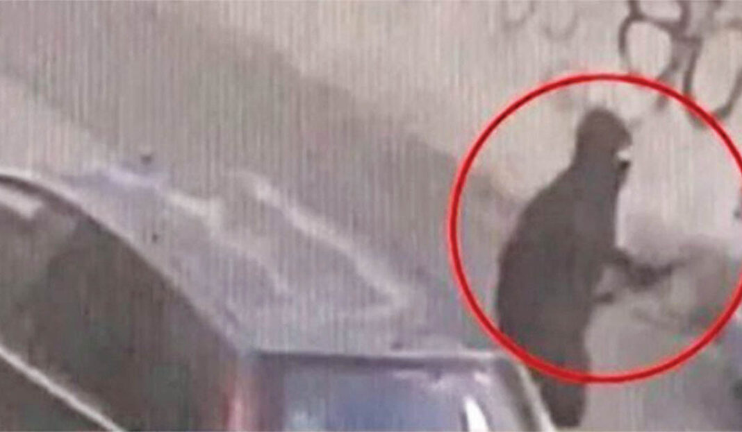 «Τσάκωσαν» τον τοξοβόλο που σκότωσε πιτ μπουλ στην Πετρούπολη