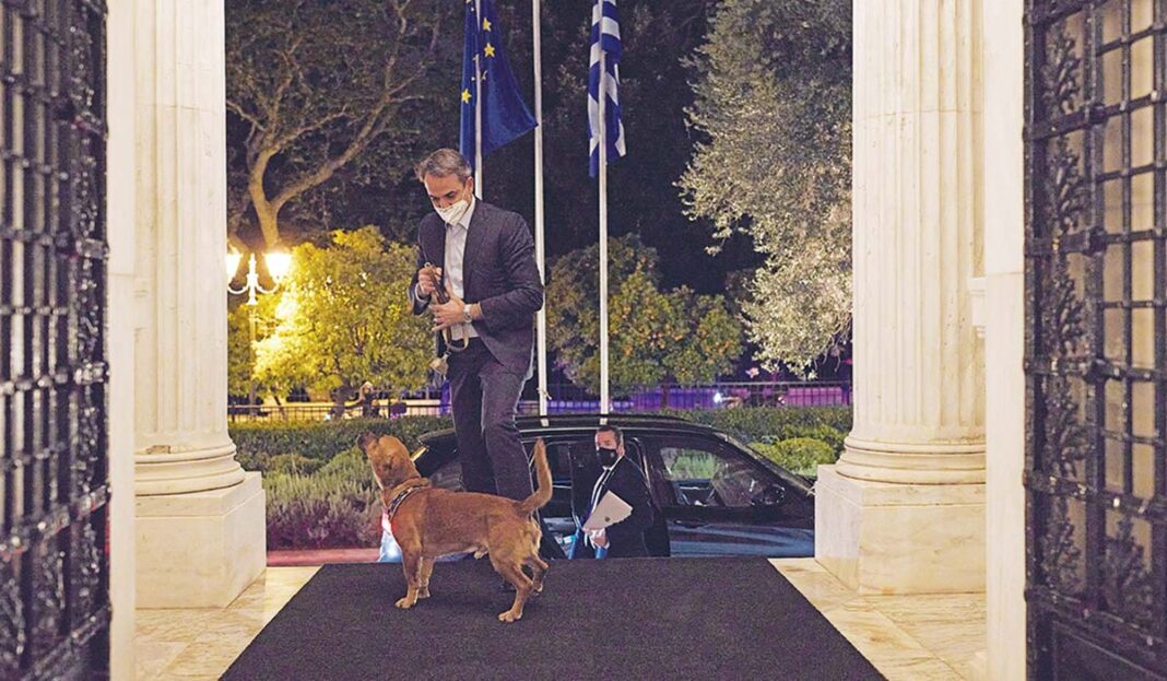 «Φόλα» το νομοσχέδιο για τα ζώα συντροφιάς