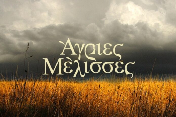 «Όταν πήρα στα χέρια μου τα σενάρια των “Άγριων Μελισσών”, ούρλιαξα. Είμαι ευτυχής που υπάρχω σε αυτή τη σειρά»