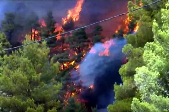 Φωτιά στην Αττική – Νεκρός ο 40χρονος εθελοντής πυροσβέστης που μεταφέρθηκε στο ΚΑΤ