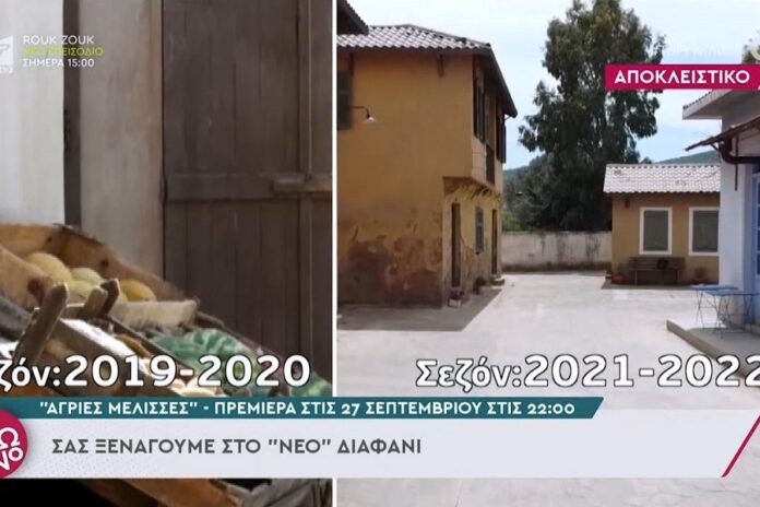 Οι «Άγριες Μέλισσες» επιστρέφουν ανανεωμένες - Δείτε το νέο Διαφάνι (video)