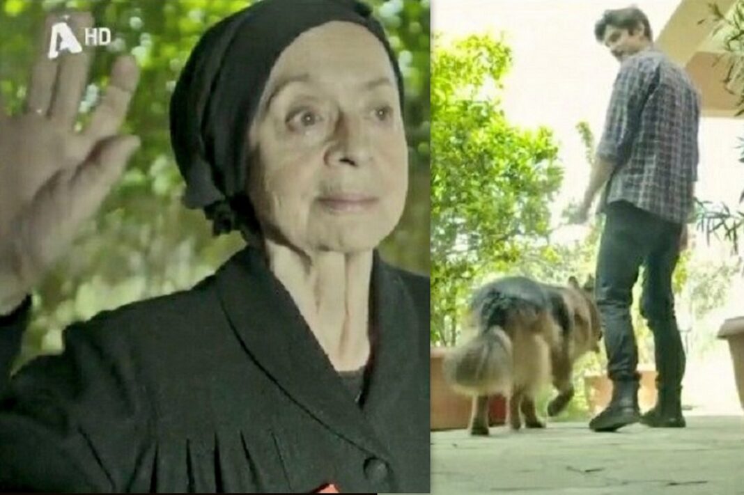 «Σασμός»: «Ράγισε καρδιές» η σκηνή του αδικοχαμένου Πετρή να φεύγει με τη «Μανταρίνα»