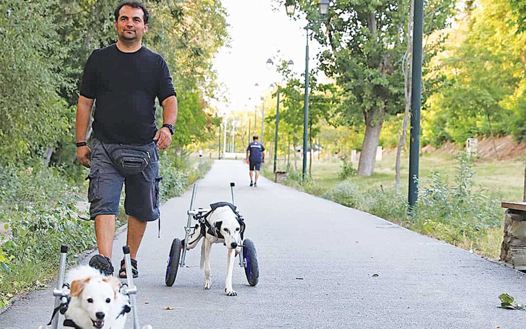 Ο σωτήρας των ζώων Βασίλης Τζιγκούρας με τα «μαγικά» ροδάκια