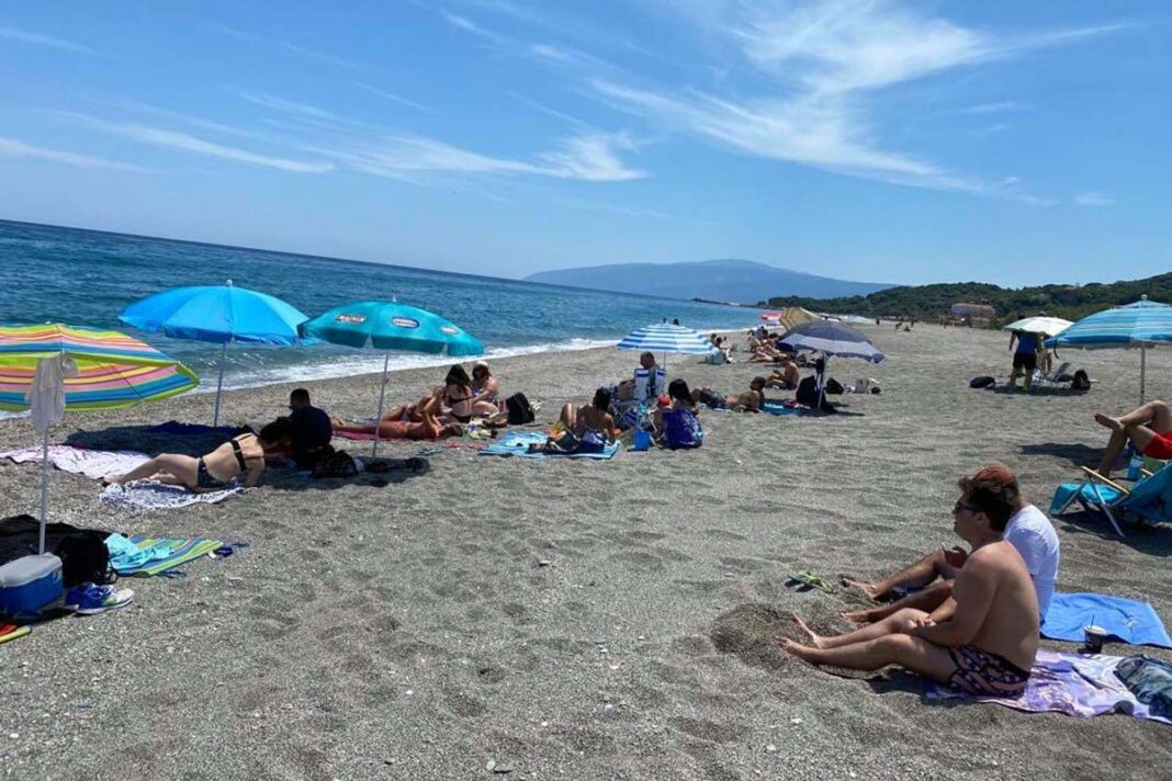 Δηλητηριώδες σκαθάρι σε παραλία της Λάρισας