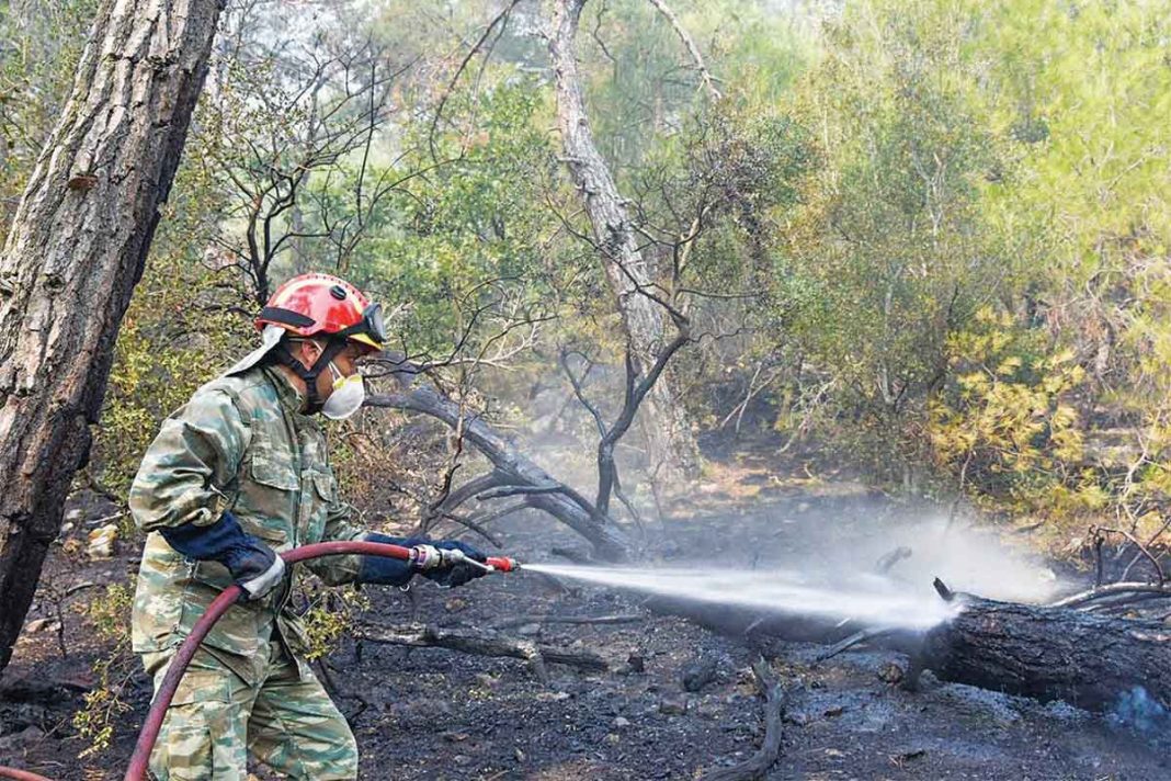 Για τέταρτη ημέρα παραδομένο στις φλόγες το Εθνικό Πάρκο Δαδιάς