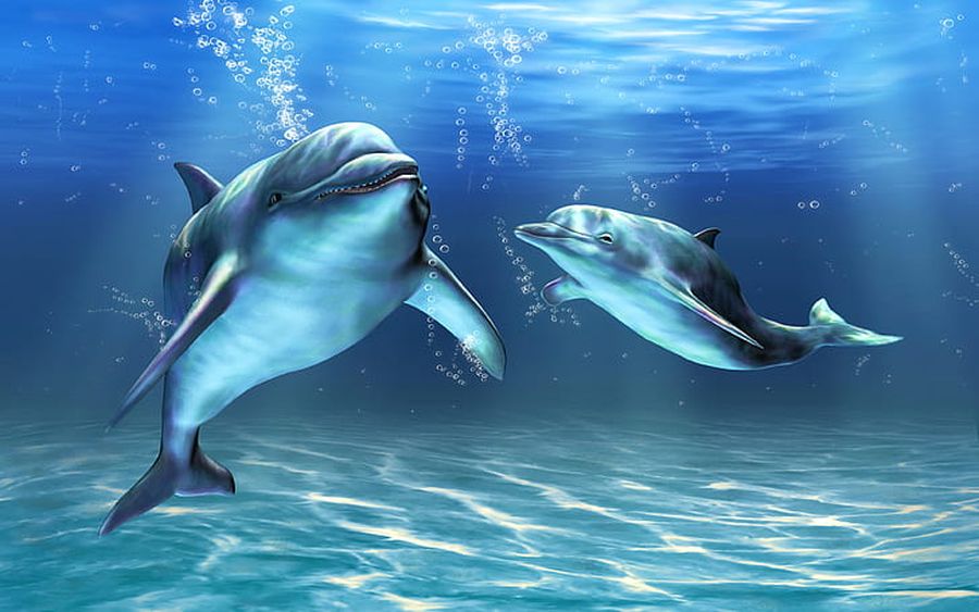 dolphins computer art wallpaper hd for mobile phones and laptops 3840×2400 wallpaper preview