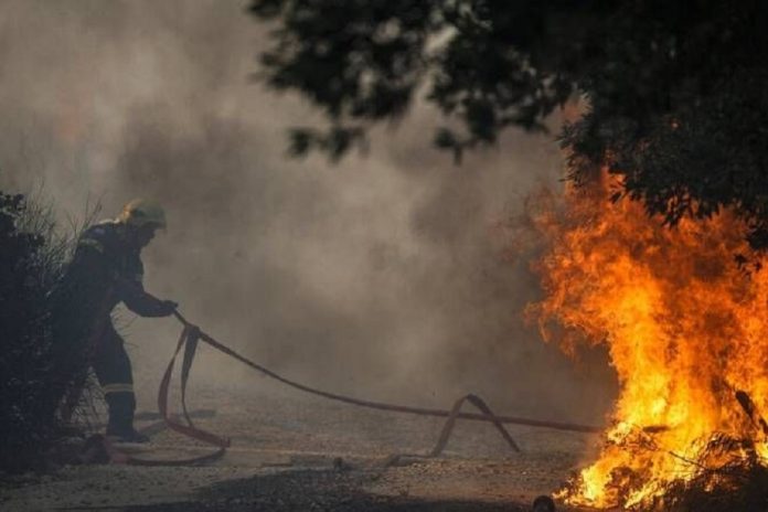 Φωτιά στη Βορειανατολική Αττική: Πού υπάρχουν προβλήματα ηλεκτροδότησης