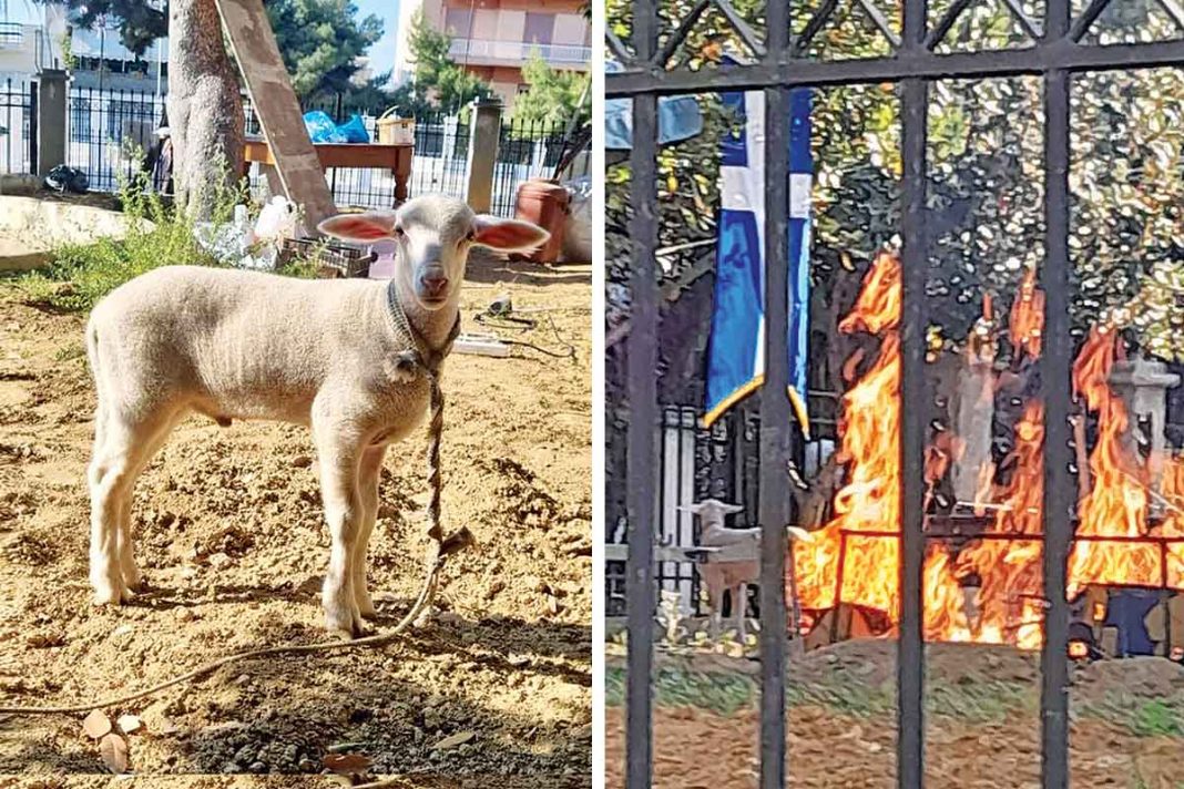 «Πιστοί» πήγαν αρνάκι στο προαύλιο ναού στο Κερατσίνι για να το σφάξουν και να το ψήσουν, επειδή είχαν κάνει... τάμα