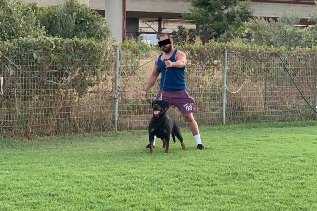 Δολοφονία Καραϊβάζ: Η πολύωρη παραμονή στον ανακριτή των αδελφών και η προφυλάκισή τους