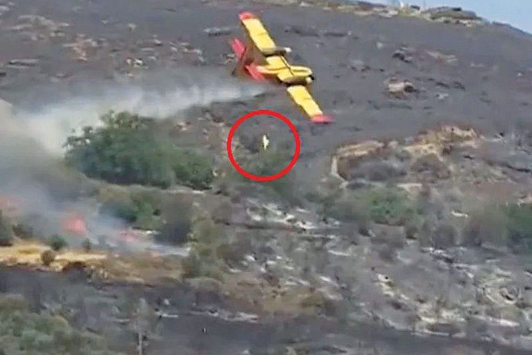 Οι εργαζόμενοι της ΕΡΤ τα έβαλαν με τον πρόεδρο για καθυστέρηση 18 λεπτών στη μετάδοση της πτώσης του Canadair
