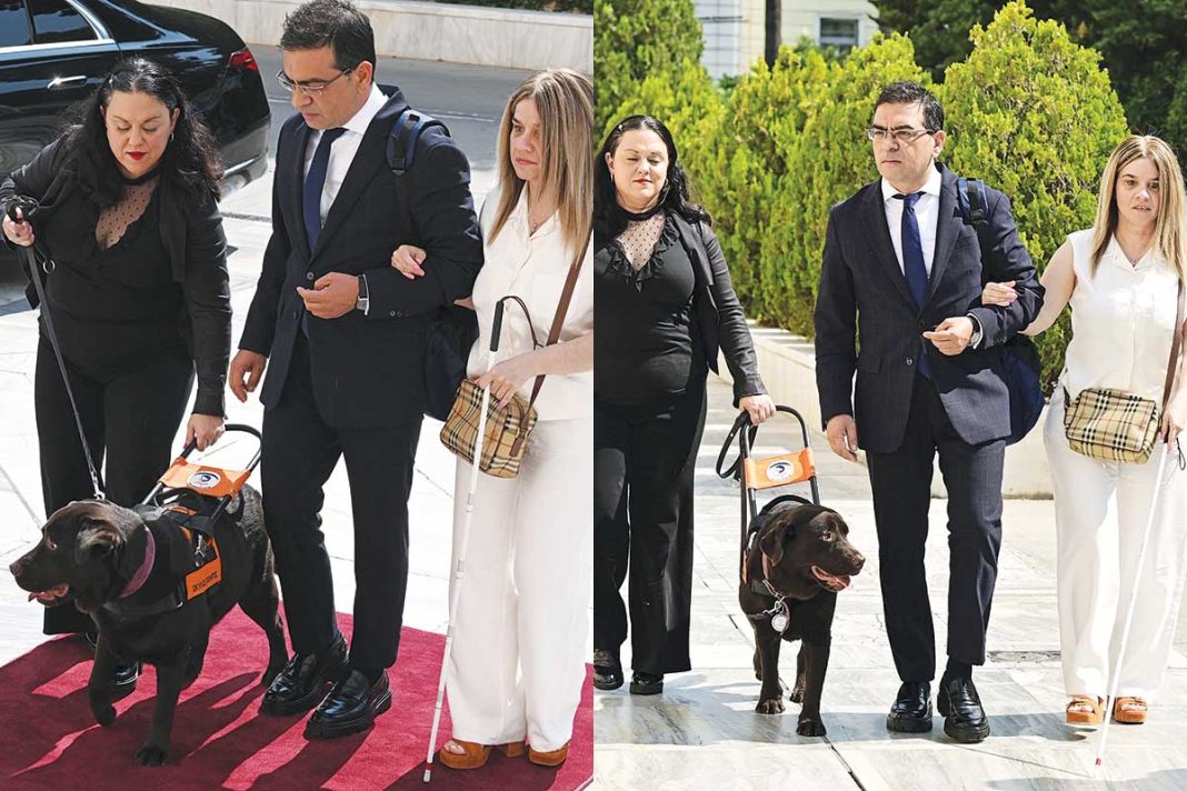 Το κοινωνικό μήνυμα για τα ΑμεΑ του βουλευτή Γιώργου Σταμάτη