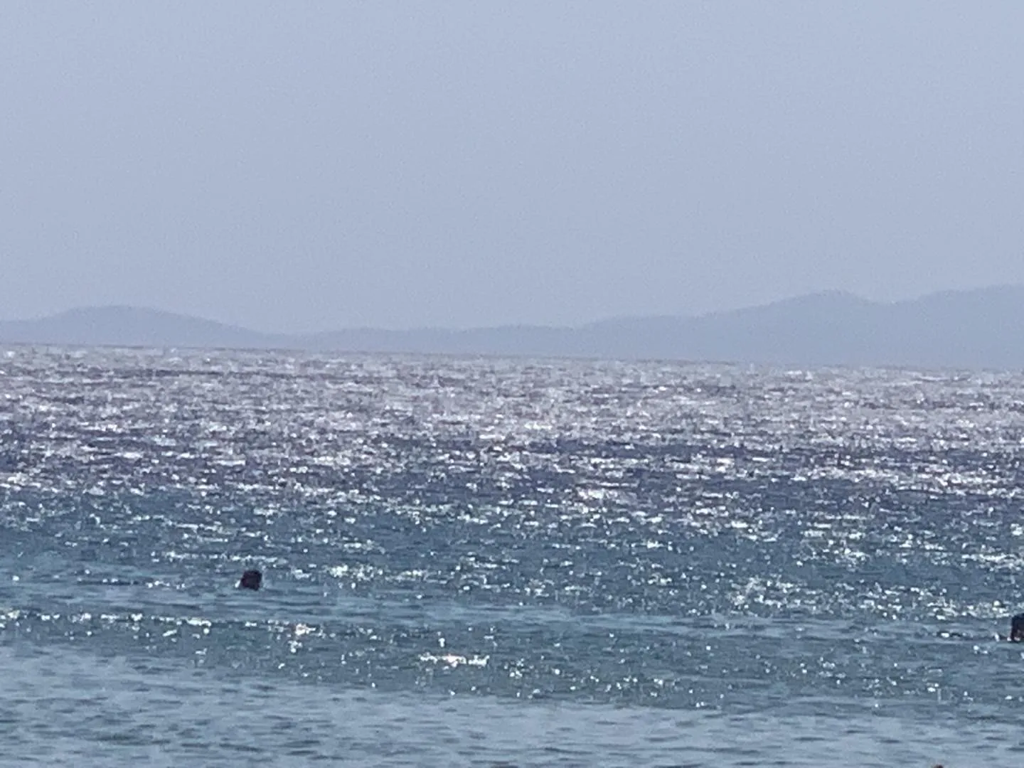 Photo by Babis Hatzidakis on August 20 2023. May be an image of grey whale humpback whale whale dolphin surfboard water and ocean jpg