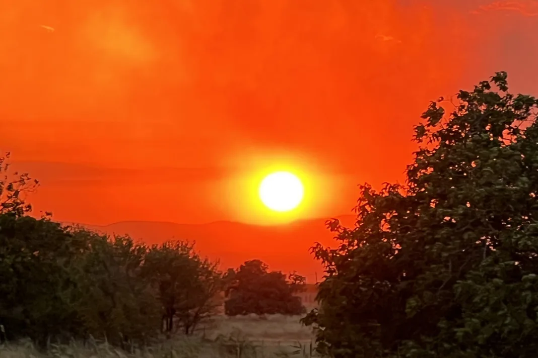 Φωτιά στην Αλεξανδρούπολη: Η μάχη πυροσβεστών και οι βουβές κλήσεις από τις Αρχές την ώρα του ρεπορτάζ μας