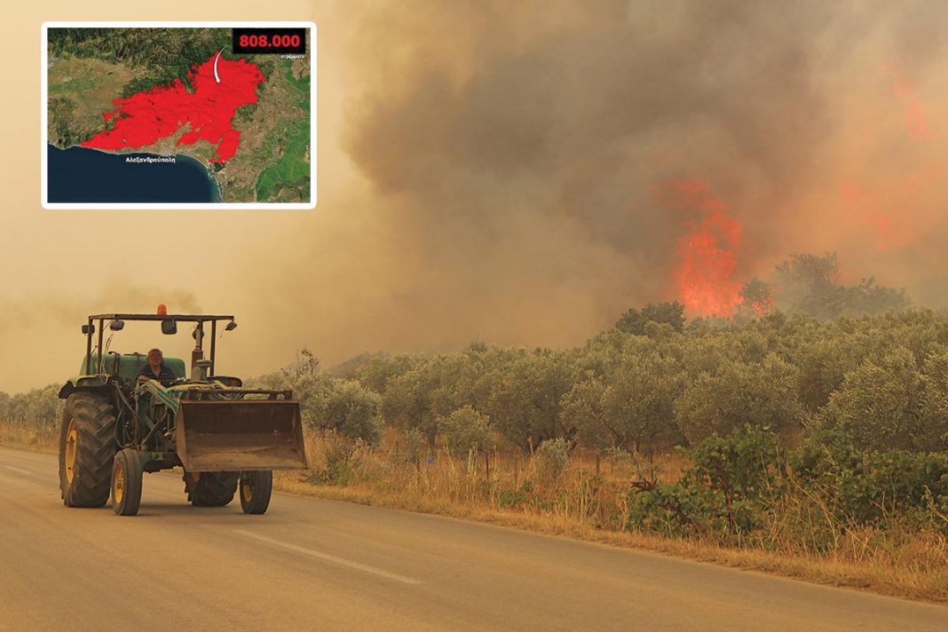 «Μαύρο» ρεκόρ: Περισσότερα από 808.000 στρέμματα δασικών και αγροτικών εκτάσεων έγιναν στάχτη στον Εβρο