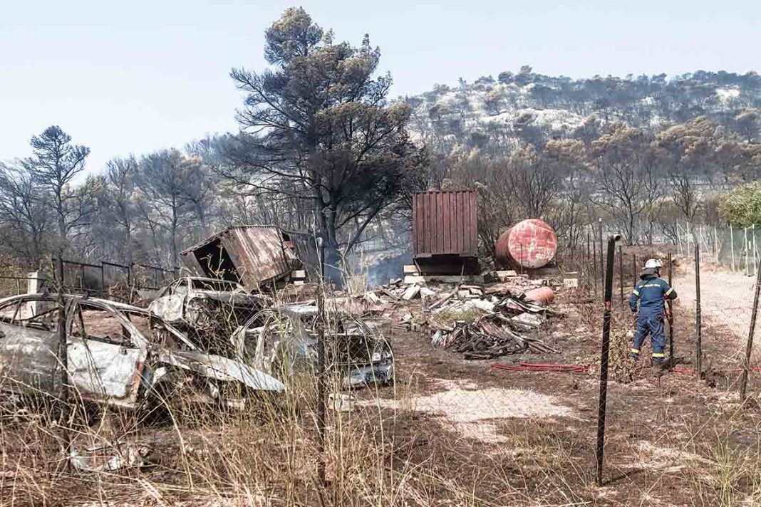 Θρίλερ στα αποκαΐδια της Πάρνηθας! - Εθελοντές εντόπισαν ανθρώπινο κρανίο στους πρόποδες του βουνού
