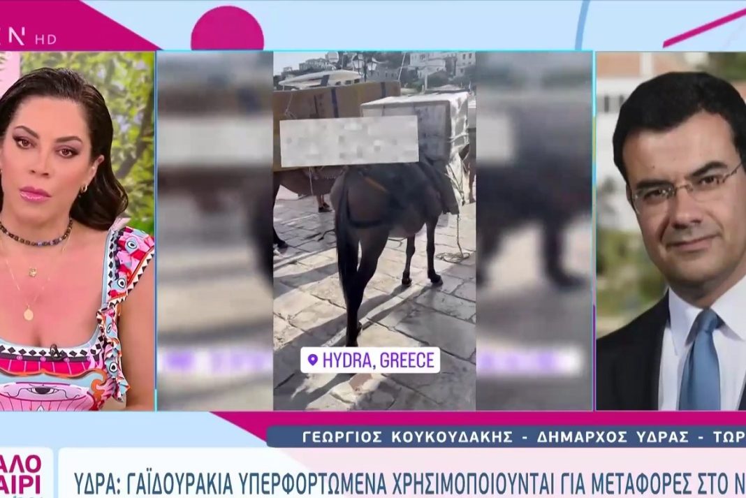 Έξαλλη η Πιερίδη on air με τον δήμαρχο Ύδρας μετά τις εικόνες με τα φορτωμένα γαϊδουράκια