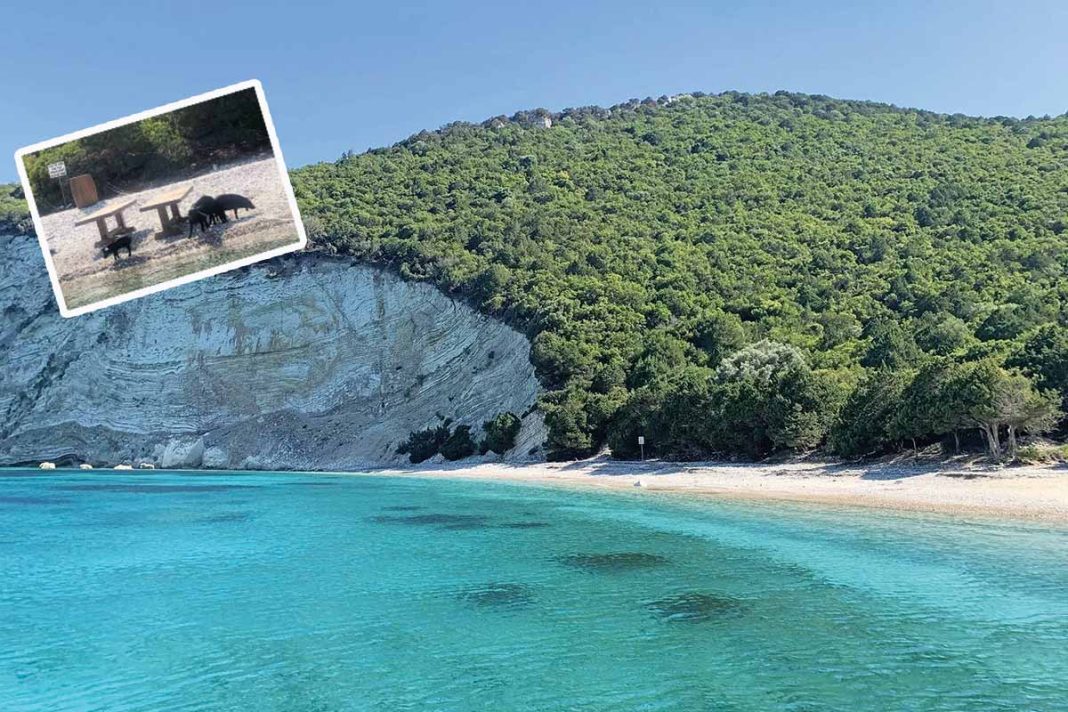 Το ιδιωτικό νησί που «λάμπει» στην καρδιά του Ιονίου ανήκει στην οικογένεια Τσάκου