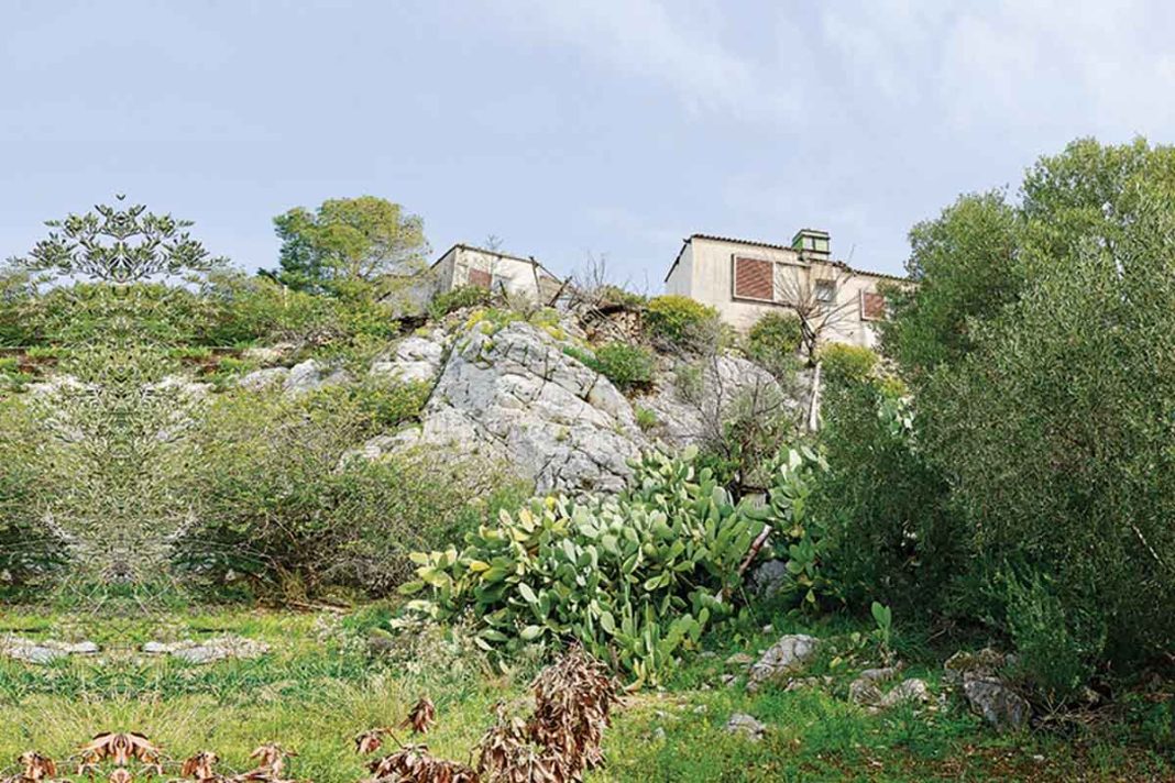 Τα μποστάνια των Παπανδρέου στο «μπαλκόνι» της Αθήνας!