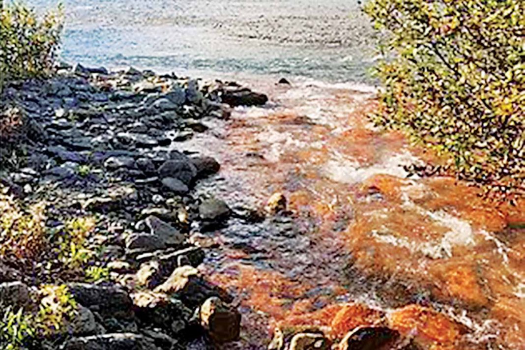 Γιατί βάφτηκαν... πορτοκαλί τα ποτάμια στην Αλάσκα