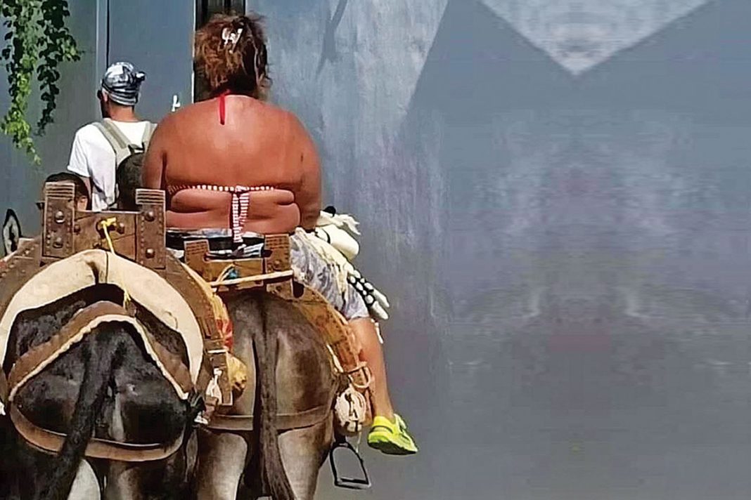 Δίποδα γαϊδούρια: Ροδίτες έκαναν «ταξί» για τουρίστες τα συμπαθή τετράποδα!