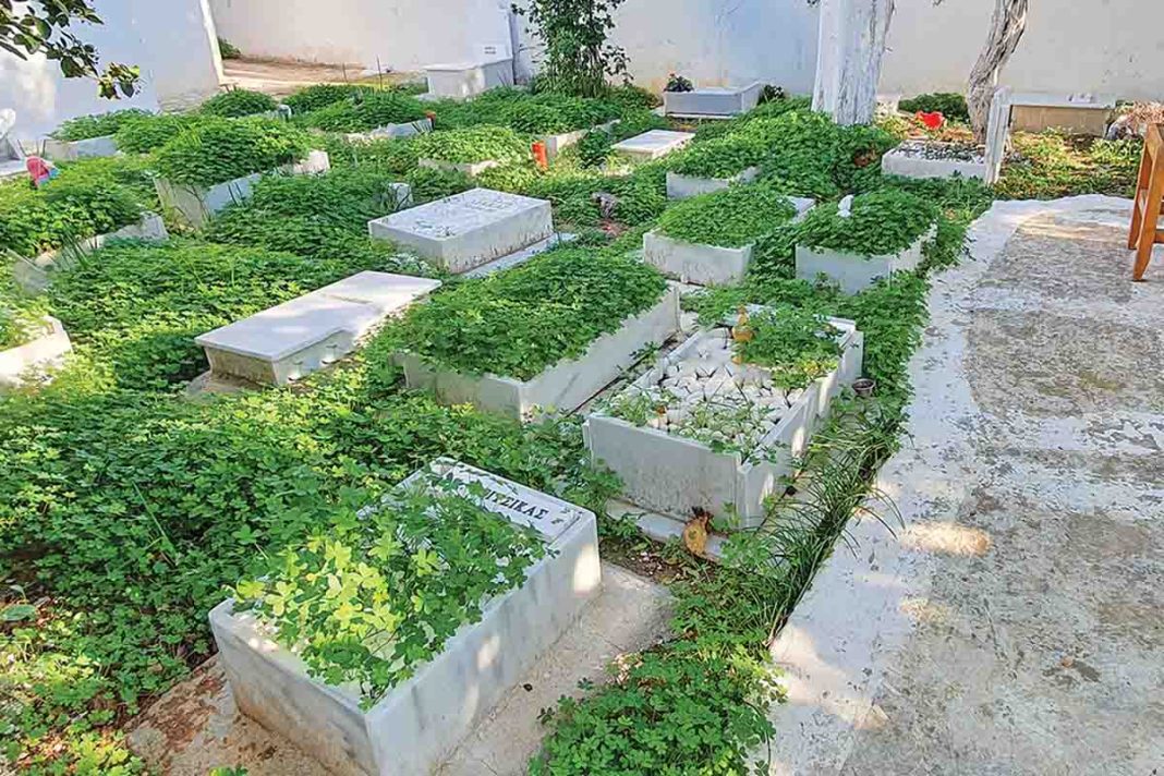 Η «ζωή εν τάφω» στις αίθουσες δικαστηρίων