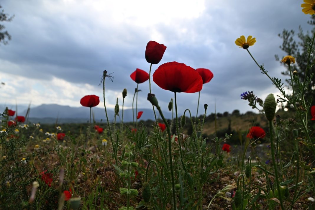 Επιδείνωση του καιρού αναμένεται το τριήμερο της Πρωτομαγιάς