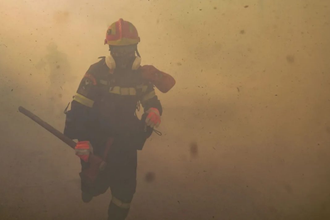 Λακωνία: Φωτιά σε δασική έκταση του Πάρνωνα