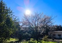 Στους 35°C σήμερα η χώρα – Οι περιοχές που θα βρεθούν ξαφνικά αντιμέτωπες με καταιγίδες