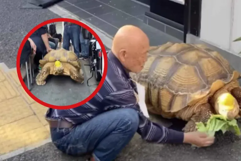 Το πιο γλυκό κατοικίδιο