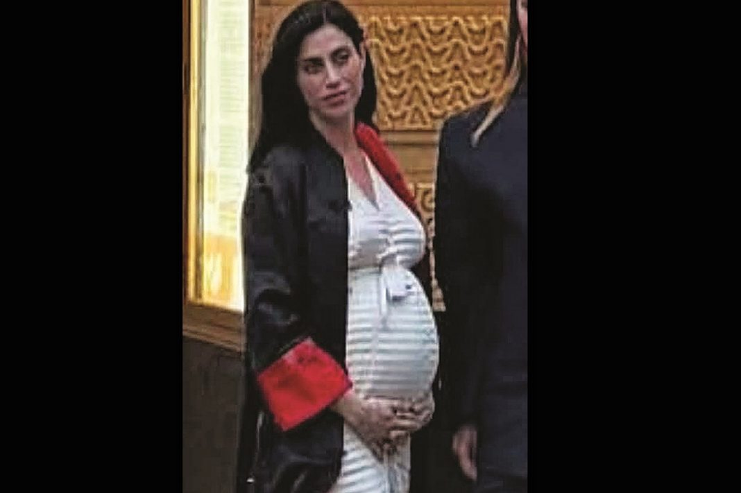 «Πελαργός» στη δυναστεία Νιάρχου