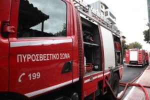 Φωτιά στις Σέρρες: Μεγάλη κινητοποίηση της Πυροσβεστικής