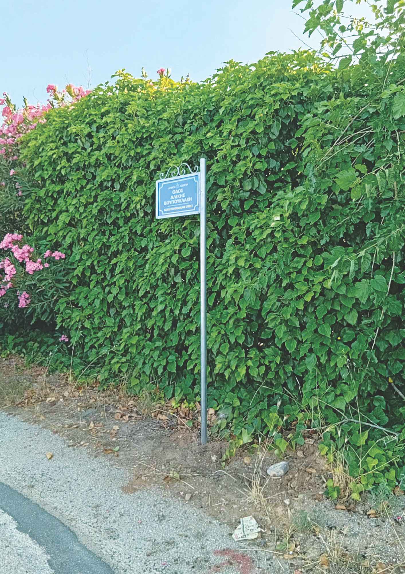 Οι πρώτες ταμπέλες με το όνομα της Αλίκης Βουγιουκλάκη τοποθετήθηκαν στον Θεολόγο.