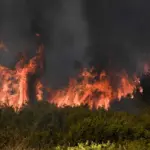 Φωτιά στη Φθιώτιδα: Μεγάλη κινητοποίηση στον Ασπρόκαμπο