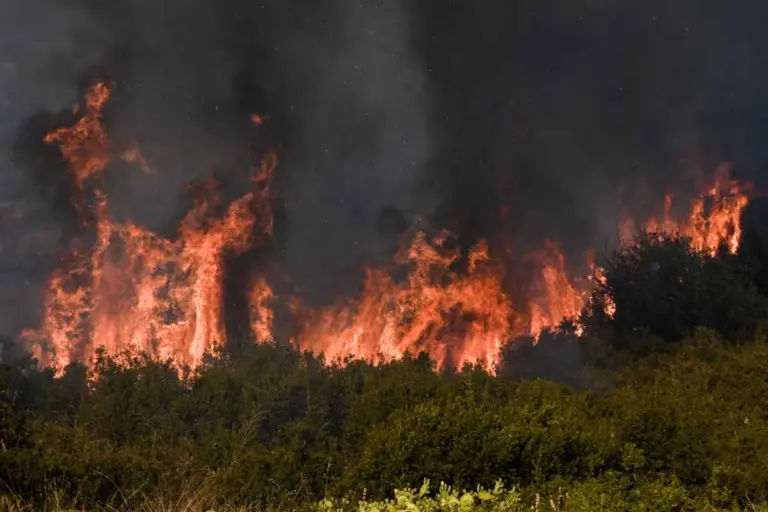 Φωτιά στη Φθιώτιδα: Μεγάλη κινητοποίηση στον Ασπρόκαμπο