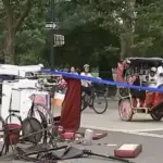 Τραγωδία στο Σέντραλ Παρκ - Νεκρός 18χρονος τουρίστας