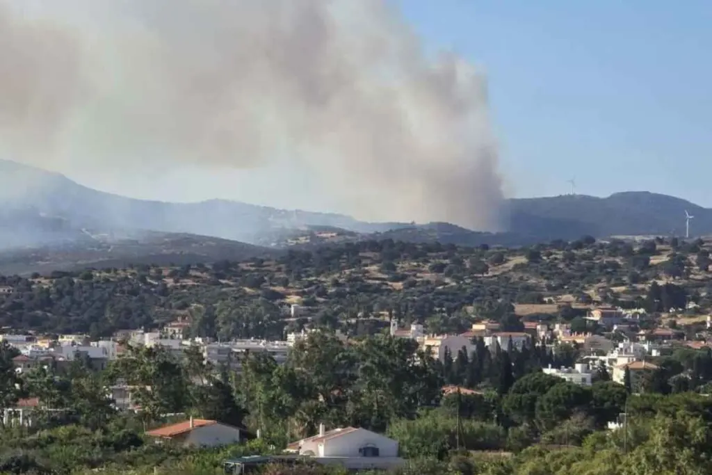 Εύβοια: Μεγάλη φωτιά σε δάσος, εκκενώνονται δύο οικισμοί