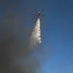 Φωτιά στη Φθιώτιδα: Μεγάλη κινητοποίηση της Πυροσβεστικής