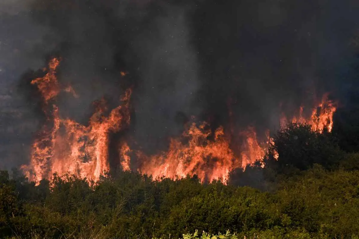 Φωτιά στην Αγία Τριάδα Φθιώτιδας με κινητοποίηση της Πυροσβεστικής