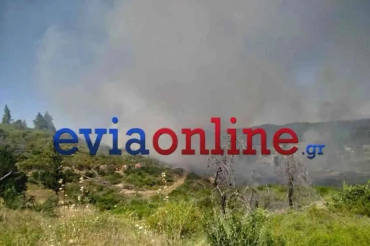 Μεγάλη κινητοποίηση της Πυροσβεστικής για φωτιά σε δάσος στο Σπαθάρι Ευβοίας.