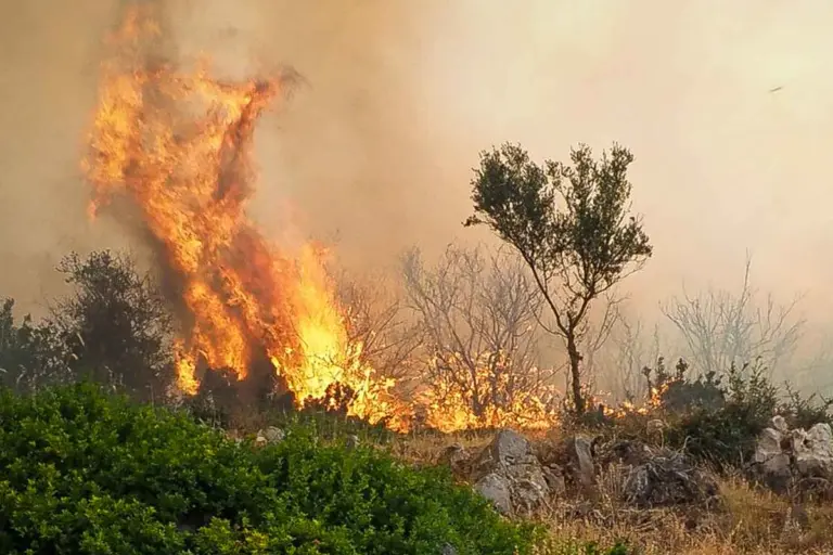 Εύβοια: Συναγερμός για φωτιά σε δασική έκταση στο Σπαθάρι