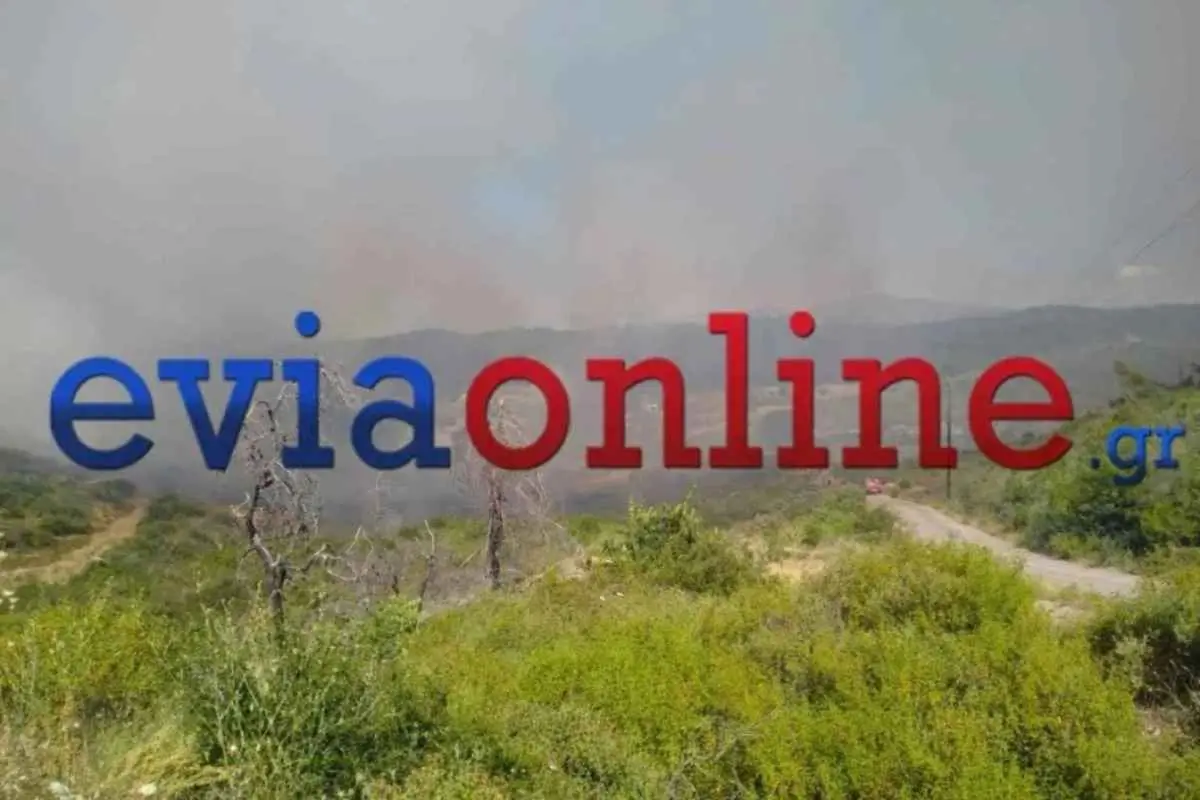Φωτιά σε δασική έκταση στο Σπαθάρι Ευβοίας