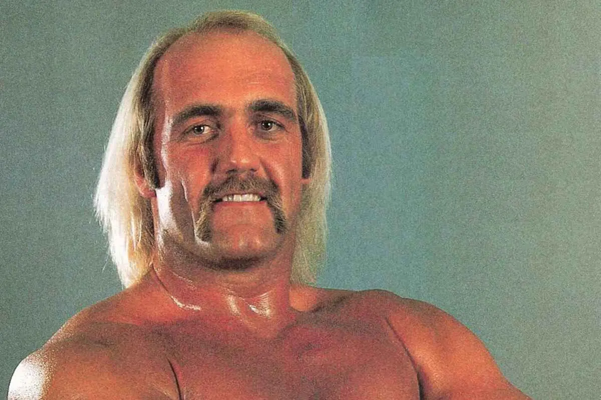 Ο Χαλκ Χόγκαν, ο θρυλικός παλαιστής του WWE Ο Χαλκ Χόγκαν, ο θρυλικός παλαιστής του WWE