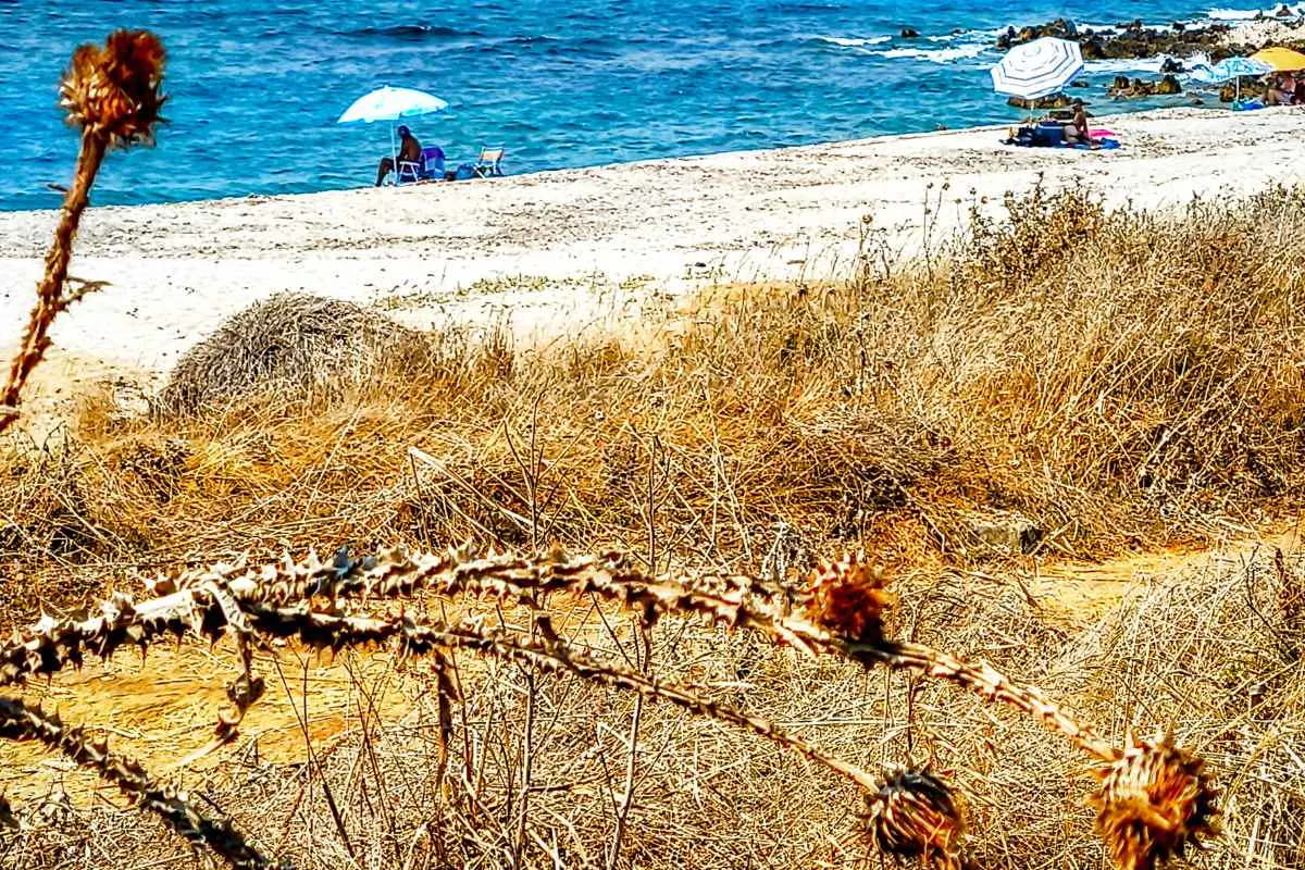 Καιρός με 35άρια και τοπικές μπόρες το απόγευμα