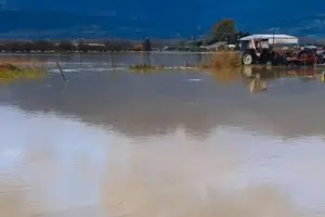 Τρίπολη: Η κακοκαιρία προκάλεσε προβλήματα στην πόλη