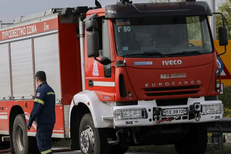 Συναγερμός στη Βοιωτία: Φωτιά στο Ακραίφνιο – Μήνυμα 112 και μάχη από αέρα και έδαφος